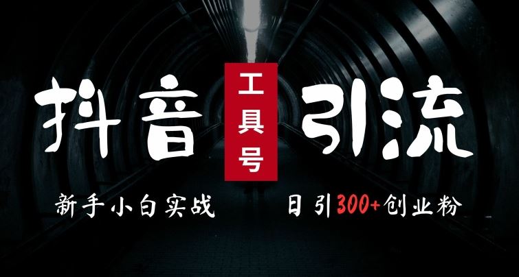 2024最新抖音工具号引流玩法，高效日引300+创业粉，当天变现5k，小白也可成为实战高手-古龙岛网创