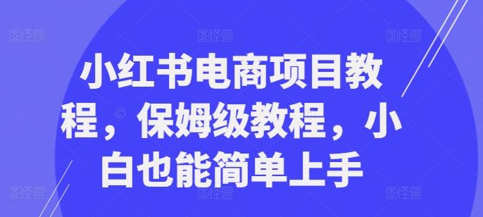 小红书电商项目教程，保姆级教程，小白也能简单上手-古龙岛网创