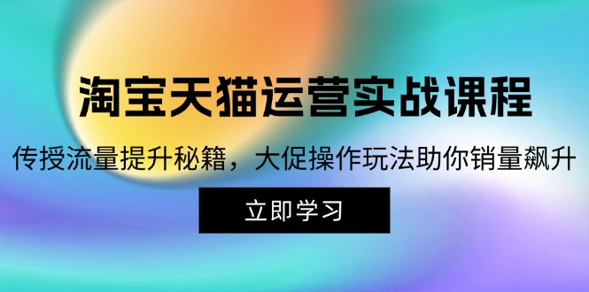 （12959期）淘宝&天猫运营实战课程，传授流量提升秘籍，大促操作玩法助你销量飙升-古龙岛网创