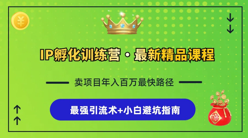 （13055期）IP孵化训练营，知识付费全流程+最强引流术+小白避坑指南-古龙岛网创