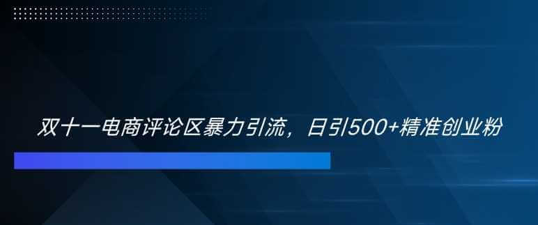 双十一电商评论区暴力引流，日引500+精准创业粉【揭秘】-古龙岛网创