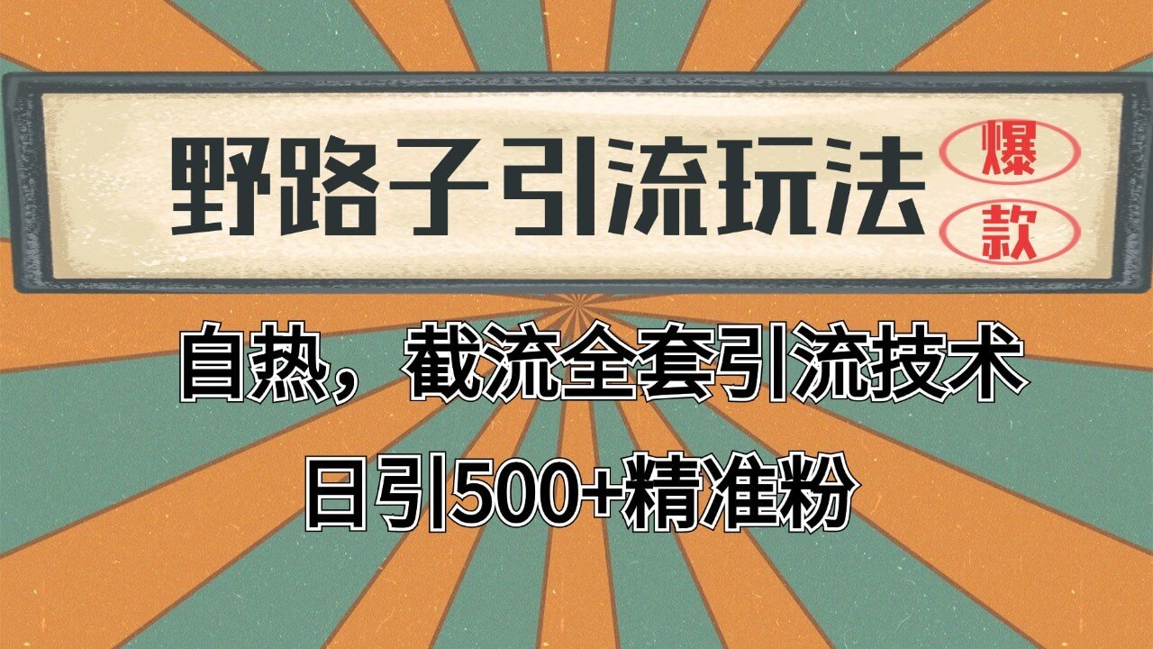 抖音小红书视频号全平台引流打法，全自动引流日引2000+精准客户-古龙岛网创