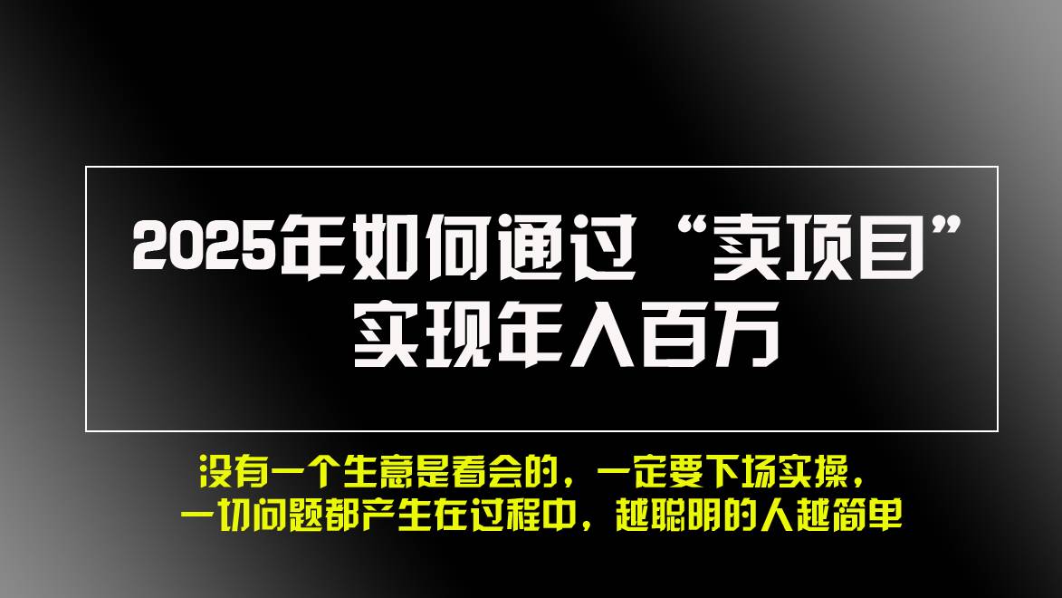 （13468期）2025年如何通过“卖项目”实现年入百万，做网赚必看！！-古龙岛网创