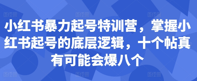 小红书暴力起号特训营，掌握小红书起号的底层逻辑，十个帖真有可能会爆八个-古龙岛网创