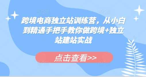 跨境电商独立站训练营，从小白到精通手把手教你做跨境+独立站建站实战-古龙岛网创