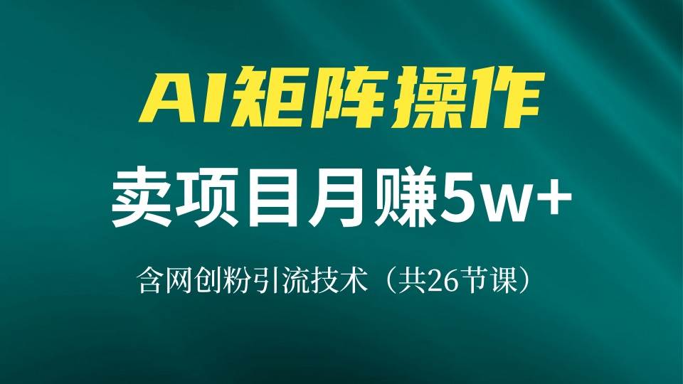 （13335期）网创IP打造课，借助AI卖项目月赚5万+，含引流技术（共26节课）-古龙岛网创