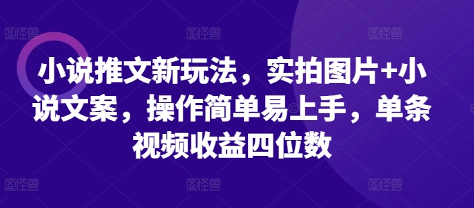 小说推文新玩法，实拍图片+小说文案，操作简单易上手，单条视频收益四位数-古龙岛网创