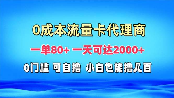 （13391期）免费流量卡代理一单80+ 一天可达2000+-古龙岛网创