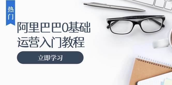 （13291期）阿里巴巴运营零基础入门教程：涵盖开店、运营、推广，快速成为电商高手-古龙岛网创