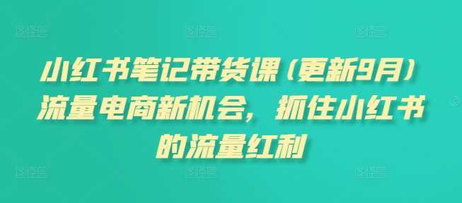 小红书笔记带货课(更新11月)流量电商新机会，抓住小红书的流量红利-古龙岛网创