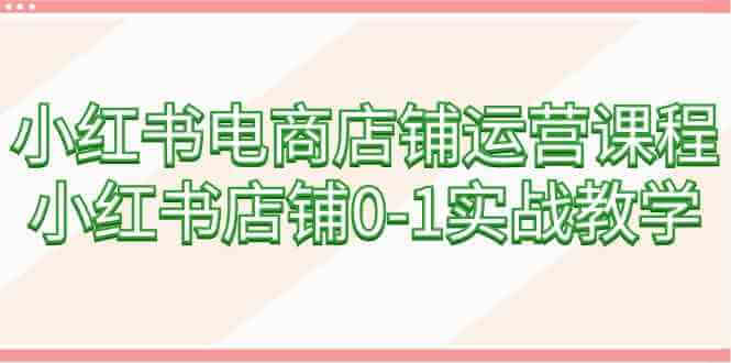 （9249期）小红书电商店铺运营课程，小红书店铺0-1实战教学（60节课）-古龙岛网创