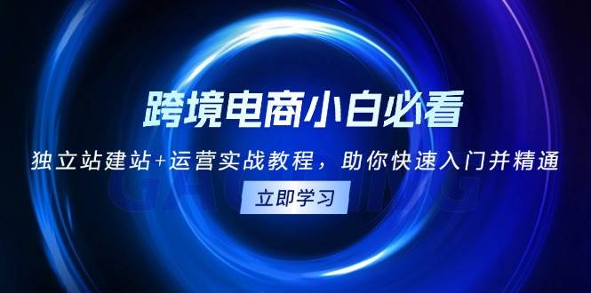 （13503期）跨境电商小白必看！独立站建站+运营实战教程，助你快速入门并精通-古龙岛网创