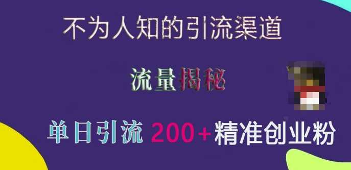 不为人知的引流渠道，流量揭秘，实测单日引流200+精准创业粉【揭秘】-古龙岛网创