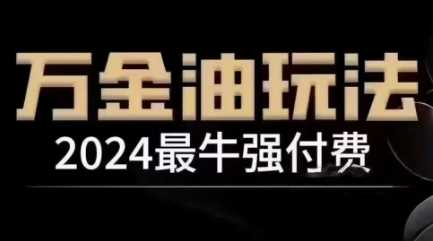 2024最牛强付费，万金油强付费玩法，干货满满，全程实操起飞（更新12月）-古龙岛网创