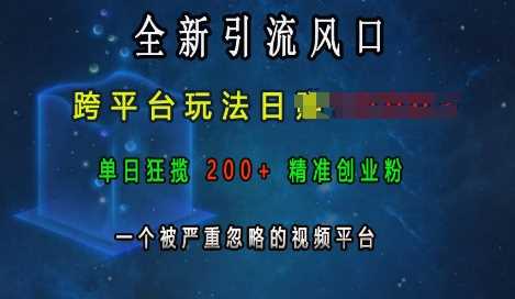 全新引流风口，跨平台玩法日入上k，单日狂揽200+精准创业粉，一个被严重忽略的视频平台-古龙岛网创