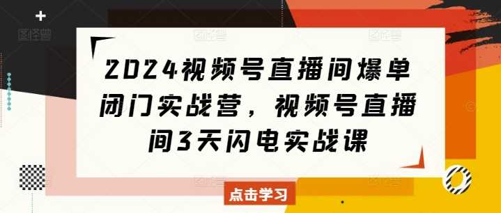 2024视频号直播间爆单闭门实战营，视频号直播间3天闪电实战课-古龙岛网创