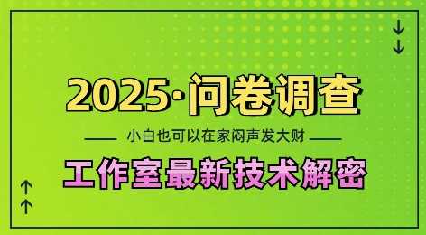 2025问卷调查最新工作室技术解密：一个人在家也可以闷声发大财，小白一天2张，可矩阵放大【揭秘】-古龙岛网创