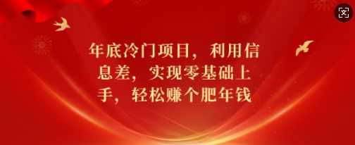 年底冷门项目，利用信息差，实现零基础上手，轻松赚个肥年钱【揭秘】-古龙岛网创