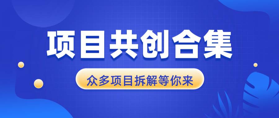 （13778期）项目共创合集，从0-1全过程拆解，让你迅速找到适合自已的项目-古龙岛网创