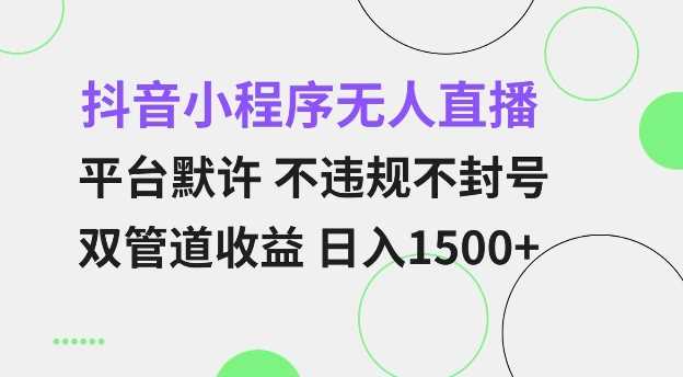 抖音小程序无人直播 平台默许 不违规不封号 双管道收益 日入多张 小白也能轻松操作【仅揭秘】-古龙岛网创