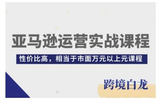 亚马逊运营实战课程，亚马逊从入门到精通，性价比高，相当于市面万元以上元课程-古龙岛网创