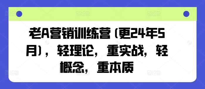 老A营销训练营(更24年12月)，轻理论，重实战，轻概念，重本质-古龙岛网创