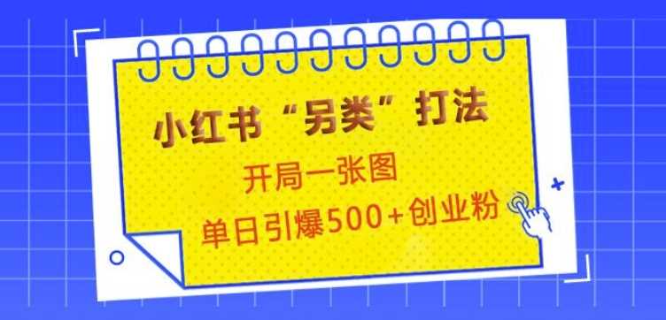 小红书“另类”打法，开局一张图，单日引爆500+精准创业粉【揭秘】-古龙岛网创