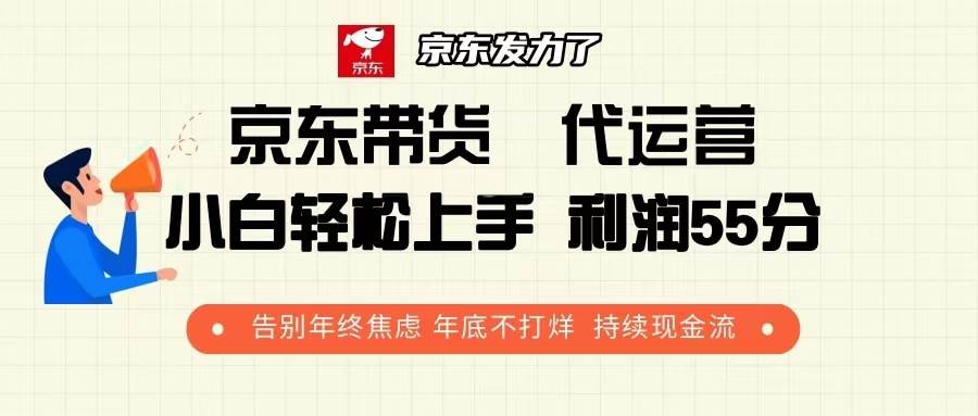 （13833期）京东带货 代运营 利润55分 告别年终焦虑 年底不打烊 持续现金流-古龙岛网创