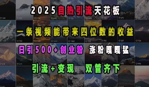 2025自热引流天花板，一条视频能带来四位数的收益，引流+变现双管齐下，日引500+创业粉，涨粉嘎嘎猛-古龙岛网创