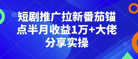 短剧推广拉新番茄锚点半月收益1万+大佬分享实操-古龙岛网创