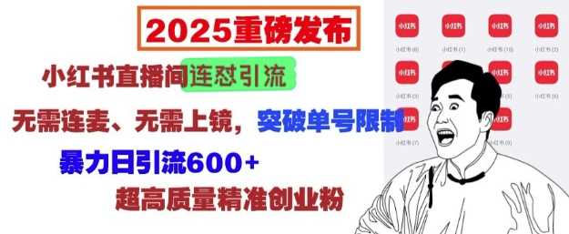 2025重磅发布：小红书直播间连怼引流，无需连麦、无需上镜，突破单号限制，暴力日引流600+-古龙岛网创