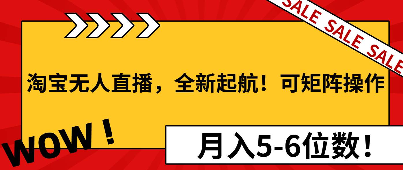 （13946期）淘宝无人直播，全新起航！可矩阵操作，月入5-6位数！-古龙岛网创