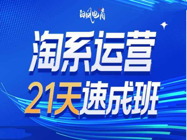 淘系运营21天速成班35期，年前最后一波和2025方向-古龙岛网创