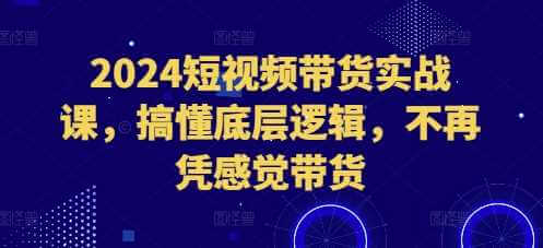 2024短视频带货实战课，搞懂底层逻辑，不再凭感觉带货-古龙岛网创