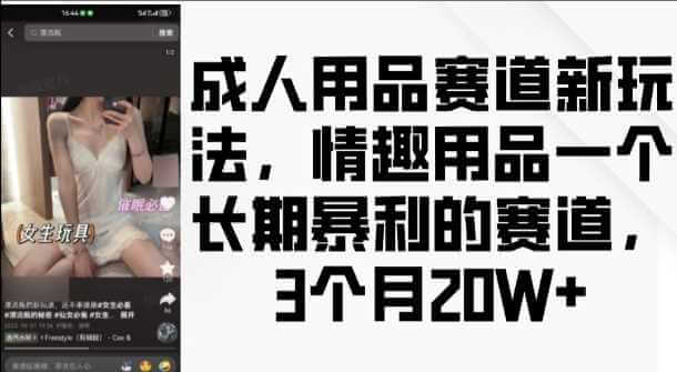 成人用品赛道新玩法，情趣用品一个长期暴利的赛道，3个月收益20个【揭秘】-古龙岛网创