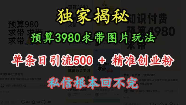 预算3980求带 图片玩法，单条日引流500+精准创业粉，私信根本回不完-古龙岛网创