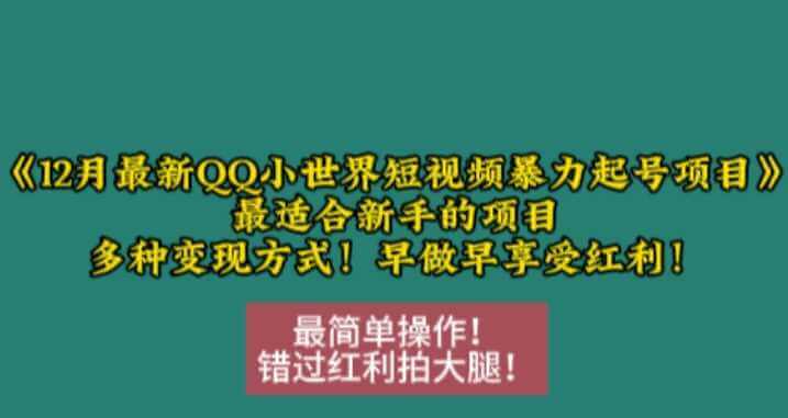 12月最新QQ小世界短视频暴力起号项目，最适合新手的项目，多种变现方式-古龙岛网创